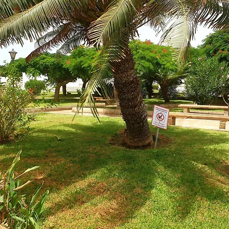 Bungalow 4 Persons 2 Bedrooms Terrace Holiday home *